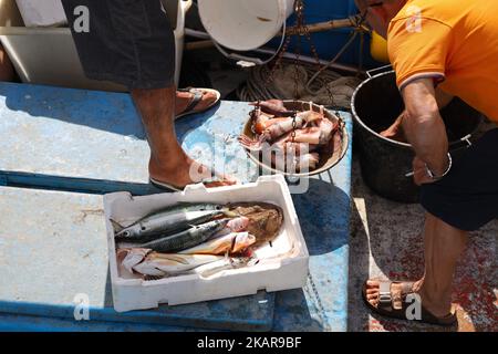 Vendita di pesce nel porto di pesca del piccolo villaggio di Cetara Foto Stock