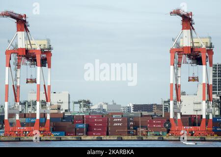 Una nave portacontainer arriva in un porto di Tokyo, il 19 settembre 2017. Il porto di Tokyo è uno dei più grandi porti marittimi giapponesi e uno dei più grandi porti marittimi del bacino dell'Oceano Pacifico, con una capacità di traffico annuale di circa 100 milioni di tonnellate di merci e 4.500.000 TEU. Il porto è anche un importante datore di lavoro nella zona con più di 30.000 dipendenti che forniscono servizi a più di 32.000 navi ogni anno. (Foto di Alessandro di Ciommo/NurPhoto) Foto Stock