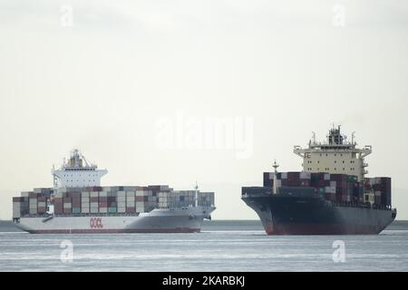 Una nave portacontainer arriva in un porto di Tokyo, il 19 settembre 2017. Il porto di Tokyo è uno dei più grandi porti marittimi giapponesi e uno dei più grandi porti marittimi del bacino dell'Oceano Pacifico, con una capacità di traffico annuale di circa 100 milioni di tonnellate di merci e 4.500.000 TEU. Il porto è anche un importante datore di lavoro nella zona con più di 30.000 dipendenti che forniscono servizi a più di 32.000 navi ogni anno. (Foto di Alessandro di Ciommo/NurPhoto) Foto Stock