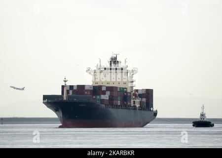 Una nave portacontainer arriva in un porto di Tokyo, il 19 settembre 2017. Il porto di Tokyo è uno dei più grandi porti marittimi giapponesi e uno dei più grandi porti marittimi del bacino dell'Oceano Pacifico, con una capacità di traffico annuale di circa 100 milioni di tonnellate di merci e 4.500.000 TEU. Il porto è anche un importante datore di lavoro nella zona con più di 30.000 dipendenti che forniscono servizi a più di 32.000 navi ogni anno. (Foto di Alessandro di Ciommo/NurPhoto) Foto Stock