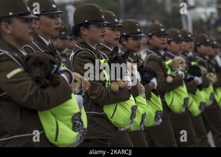 Il Presidente cileno Michelle Bachelet partecipa, per l'ultima volta come presidente, alla tradizionale parata militare a Santiago, Cile, il 19 settembre 2017, per commemorare la "Giornata delle Glorie dell'Esercito cileno". La parata si svolge presso l'o'Higgins Park il giorno dopo la 'Chile National Day'. (Foto di Mauricio Gomez/NurPhoto) Foto Stock