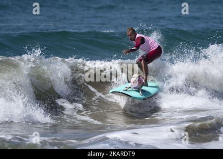 Un surfista cavalca un'onda con un cane mentre i concorrenti prendono parte al concorso Surf City Surf Dog di Huntington Beach in California il 23 settembre 2017. Oltre 40 cani provenienti da Stati Uniti, Brasile e Canada hanno partecipato all'annuale Surf City Surf Dog Competition in cui i cani hanno surfato da soli o in tandem con i loro umani.(Photo by: Ronen Tivony) (Photo by Ronen Tivony/NurPhoto) Foto Stock