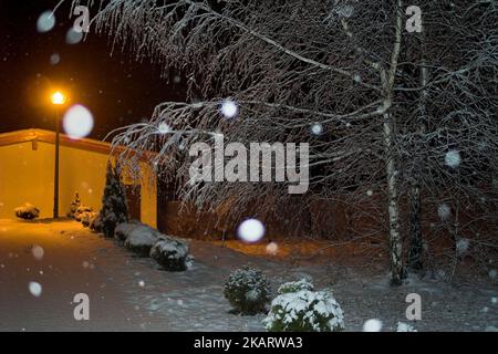 Ostrzeszów, Polska, Polonia, Polen; scenario invernale, Scenario innevato di notte illuminato da una lampada da strada; verschneite Winterlandschaft bei Nacht Foto Stock