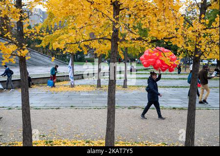 22.10.2022, Berlino, Germania, Europa - palloncini rossi a forma di cuore con l'iscrizione "solidarietà sostenuta" sono distribuiti nell'Invalidenpark. Foto Stock