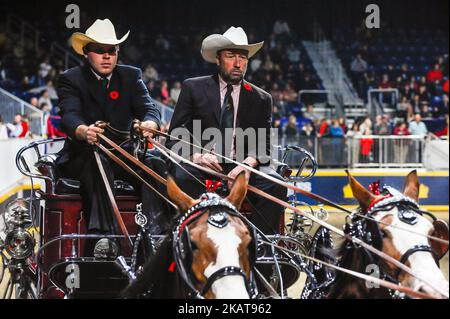 Il Rider si esibira durante il Royal Horse Show presso la Royal Agricultural Winter Fair il 3 e 12 novembre 2017 al Ricoh Coliseum di Toronto, Canada. (Foto di Anatoliy Cherkasov/NurPhoto) Foto Stock