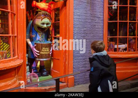 Decorazioni e oggetti di Dragon Alley presso lo studio Harry Potter di Warner Bros a Watford, Londra, Regno Unito, il 9 gennaio 2018. (Foto di Julien Mattia/NurPhoto) Foto Stock