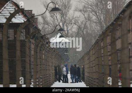 Il Ministro della Difesa belga Steven Vandeput e il Vice Capo della Difesa Michel Hofman hanno accompagnato un gruppo di cento studenti delle scuole superiori di 13 scuole diverse durante la loro visita al campo di concentramento e sterminio nazista di Auschwitz-Birkenau, pochi giorni prima del 74th° anniversario del campo di Liberazione. Martedì 23 gennaio 2018, nel campo di concentramento di Auschwitz, Oswiecim, Polonia. (Foto di Artur Widak/NurPhoto) Foto Stock