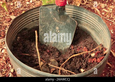 Vasi di piante / fiori sul terreno nel giardino. Giardinaggio. Foto Stock