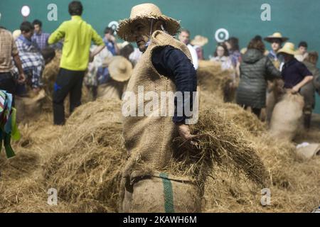 Uno dei partecipanti al carnevale rurale di Lesaka (Navarra) ha fatto il suo costume 'Zako-Zahar' con erba secca all'interno del frontone di questa città di Lesaka, Navarra, Spagna, il 11 febbraio 2018. I 'zako-zahar' sono caratteri tipici del carnevale rurale di Lesaka (Navarra), farciti in sacchi pieni di paglia con le loro facce coperte da fazzoletti bianchi, che portano i neri gonfiati per battere le persone che camminano per le strade del villaggio al crepuscolo. Quando si stancano, si siedono sul pavimento uno in cima all'altro per riposare e divertirsi.ciò è uno dei carnevali ancestrali la cui origine è confusa Foto Stock