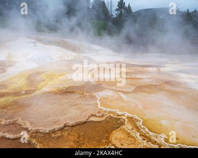 Terrazze di travertino, sorgenti termali di Mammoth, parco nazionale di Yellowstone, Wyoming, Stati Uniti, Giugno 2019 Foto Stock