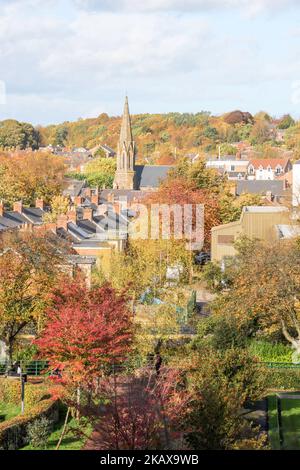 Colore autunnale in una vista che guarda a nord verso la torre della chiesa di St Robert a Morpeth, Northumberland, Inghilterra, Regno Unito Foto Stock