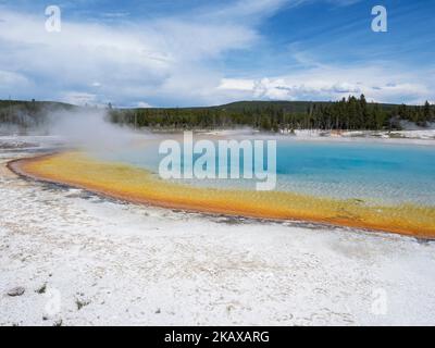 Vapore che sale da Rainbow Pool, Black Sand Basin, Yellowstone National Park, Wyoming, USA, Giugno 2019 Foto Stock