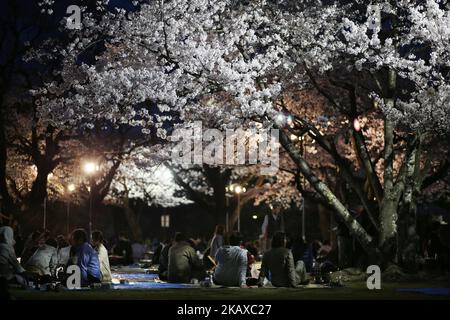 La fioritura dei ciliegi è raffigurata il 29 marzo 2018 a Tokyo, Giappone. I giapponesi hanno una lunga tradizione di godere della fioritura dei ciliegi. Durante la stagione della fioritura dei ciliegi, migliaia di persone si radunano in Giappone per praticare 'Hanami' (feste di osservazione dei fiori), la secolare tradizione di fare picnic sotto un albero Sakura in fiore. (Foto di Hitoshi Yamada/NurPhoto) Foto Stock