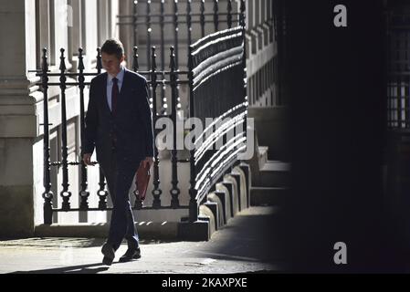 Il Segretario di Stato per la Difesa Gavin Williamson arriva a partecipare alla prima riunione del gabinetto dopo il Re-Shuffle a Downing Street il 1 maggio 2018 a Londra, Inghilterra. Il gabinetto Re-Shuffle è stato innescato in seguito alle dimissioni del segretario di casa Amber Rudd, il suo successore è stato nominato Sagiid Javid, l'ex segretario di Stato per gli alloggi, le comunità e il governo locale. (Foto di Alberto Pezzali/NurPhoto) Foto Stock