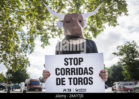 L'attivista contro la crudeltà degli animali nei combattimenti toro indossa una maschera da testa di toro in cartone prima delle celebrazioni di San Fermin a Pamplona, Spagna. Banner dice 'top bullfighings'. (Foto di Celestino Arce/NurPhoto) Foto Stock