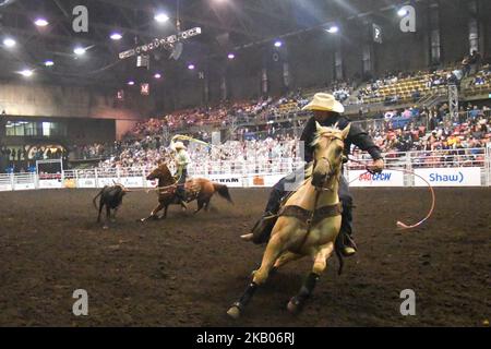 Cowboys in azione durante una comozione di Team Roping al K-Days Rodeo di Edmonton. Domenica 22 luglio 2018, a Edmonton, Alberta, Canada. (Foto di Artur Widak/NurPhoto) Foto Stock