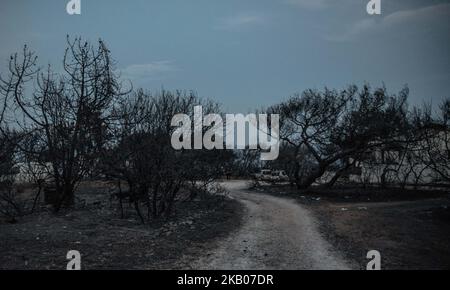 L'area dove sono stati trovati 26 corpi incendiati, a seguito di un mortale incendio boschivo a Mati, un sobborgo nord-orientale di Atene, Grecia, 25 luglio 2018. (Foto di Dimitris Lampropoulos/NurPhoto) Foto Stock