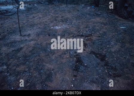 Il punto in cui sono stati trovati 26 corpi incendiati, a seguito di un incendio mortale nella foresta a Mati, un sobborgo nord-orientale di Atene, Grecia, 25 luglio 2018. (Foto di Dimitris Lampropoulos/NurPhoto) Foto Stock