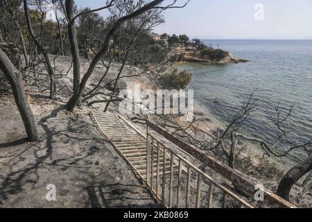 Foto dell'area più ampia di Mati e Neos Voutsas nell'Attica orientale vicino ad Atene il 25 luglio 2018 dopo l'incendio. 12760 acri di terreno e 380 veicoli sono stati bruciati in Mati. L'incendio che ebbe luogo il 23 luglio 2018 fu uno dei peggiori del secolo. Il conteggio dei decessi è stato aumentato a oltre 80 vittime. Molte persone sono ancora mancanti e la ricerca è ancora in corso. La zona è ancora priva di elettricità. Il primo conte fu che 2500 case sono state distrutte. Mati, Attica, Grecia (Foto di Nicolas Economou/NurPhoto) Foto Stock