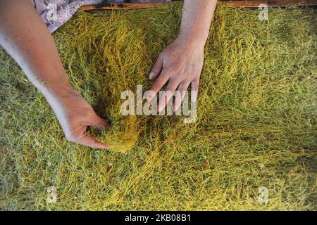 Gli agricoltori scelgono le foglie di tabacco con la migliore qualità da inviare alla lavorazione del tabacco nel villaggio di Mekar Jaya, Garut, West Java, il 26,2018 luglio. L'Indonesia è uno dei maggiori produttori di piante da tabacco al mondo. I coltivatori di tabacco spesso fanno riferimento a questa pianta come "oro verde". Ogni regione ha anche i suoi sapori distintivi come Temanggung, Garut, Madura, Jember, Aceh e Lombok. (Foto di Dasril Roszandi/NurPhoto) Foto Stock