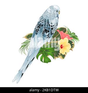 Budgerigar, parakeet animale blu o parakeet conchiglia o animale domestico budgie con philodendron e hibiscus rosa e giallo su uno sfondo bianco vintage vecto Illustrazione Vettoriale