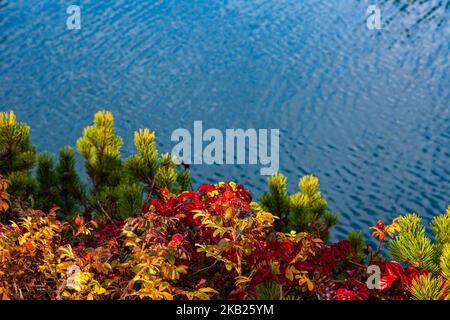 Colori autunnali contro l'acqua increspata a Sidney British Columbia Canada Foto Stock