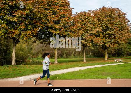 Foto scattata il 21st 2018 ottobre nei Paesi Bassi. Durante la stagione autunnale, il paesaggio olandese è inondato di colori verde, ocra, oro e rossiccio. E' la stagione perfetta per scattare foto della natura e godere di panorami meravigliosi. I Paesi Bassi hanno molte aree boscose con sentieri escursionistici che sono facili da seguire. (Foto di Romy Arroyo Fernandez/NurPhoto) Foto Stock