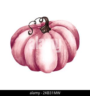 Acquerello rosa zucca set, zucche floreali, Halloween clipart, elementi di design autunno, autunno. Illustrazione della mietitura Foto Stock