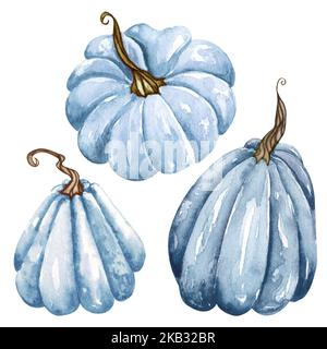 Set di zucca blu acquerello, zucche floreali, clipart di Halloween, elementi di design autunnali, autunno. Illustrazione della mietitura isolata Foto Stock