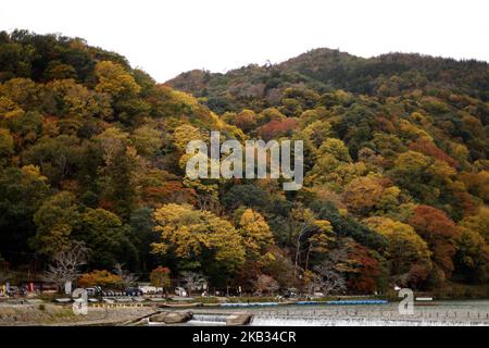 Foglie colorate sono viste al Santuario il 13 novembre 2018 a Kyoto, Giappone. I colori autunnali iniziano a mostrare sugli alberi a Kyoto, Giappone occidentale. L'antica capitale giapponese, circondata da foglie colorate in autunno, attrae milioni di turisti ogni anno. (Foto di Hitoshi Yamada/NurPhoto) Foto Stock