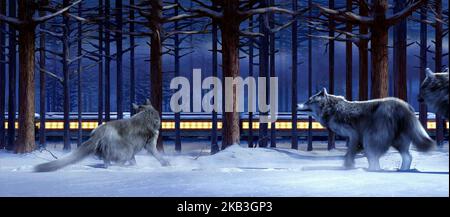 Il Polar Express, lupi guarda il treno passare da 2004 Foto Stock
