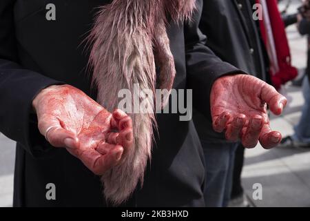 I membri del collettivo "la passerella sofferente" partecipano a una protesta di performance contro l'industria della pelliccia a Madrid, Spagna, 25 novembre 2018. (Foto di Oscar Gonzalez/NurPhoto) Foto Stock