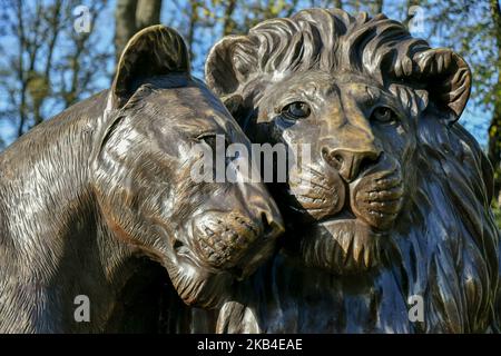 Born Free Forever è una mostra di 25 sculture in bronzo che celebrano il film e sensibilizzano la popolazione leone di tutto il mondo. Foto Stock