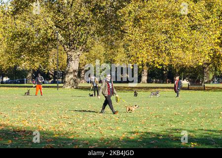 Dog Walkers godersi la giornata autunnale di sole nel parco di London Fields a Hackney, Londra Inghilterra Regno Unito Foto Stock