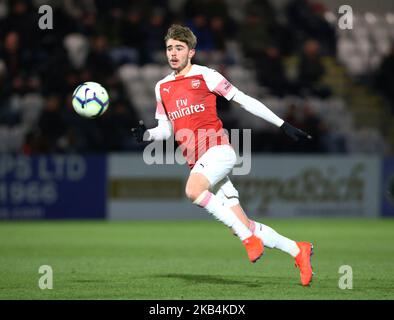 Zak Swanson of Arsenal durante la partita della fa Youth Fourth Round tra Arsenal e Tottenham Hotspur al Meadow Park Stadium il 17 gennaio 2019 a Borehamwood, Regno Unito. (Foto di Action Foto Sport/NurPhoto) Foto Stock