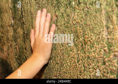 Un giovane uomo mettendo la sua mano su una pietra, parte del Muro occidentale di Gerusalemme Foto Stock