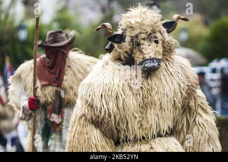 Uomo vestito come ariete durante le celebrazioni del carnevale tradizionale nel villaggio di Ituren, nel nord della Spagna. (Foto di Celestino Arce/NurPhoto) Foto Stock