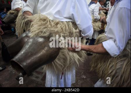 'Il joaldunak' o portaerei, hanno bisogno dell'aiuto dei loro coetanei per stringere bene le campane, per uscire al carnevale di Zubieta (Navarra) il 29 gennaio 2019 a Zubieta, Spagna. (Foto di Joaquin Gomez Sastre/NurPhoto) Foto Stock