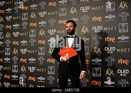 Rodrigo Sorogoyen partecipa al Goya Cinema Awards 2019 a Siviglia, il 2nd febbraio 2019 al FIBES Conference and Exhibition Centre di Siviglia. (Foto di Juan Carlos Lucas/NurPhoto) Foto Stock
