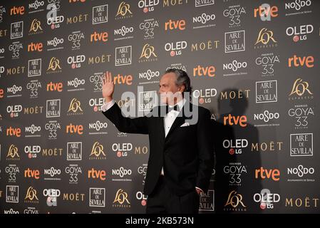 Jose Coronado partecipa al Goya Cinema Awards 2019 a Siviglia, il 2nd febbraio 2019, al FIBES Conference and Exhibition Centre di Siviglia. (Foto di Juan Carlos Lucas/NurPhoto) Foto Stock