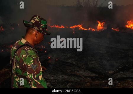 Un vigile del fuoco indonesiano cerca di estinguere un incendio da terra di contadini al villaggio di Tanah Merah, distretto di Kampar, provincia di Riau, Indonesia, settembre 8, 2019 un aumento degli incendi boschivi indonesiani – l’aumento più netto dal 2015 – ha infuriato la vicina Malesia, dove i residenti inalano fumo dalla torba e alberi bruciati a centinaia di chilometri di distanza. La stazione di meteorologia Pekanbaru ha riferito che 559 focolai sono stati osservati in tutta l’isola di Sumatra, di cui 125 focolai negli otto distretti della provincia di Riau la domenica mattina, deplorando la qualità dell’aria in alcune parti della provincia (Foto di Afrianto Silalahi/ Foto Stock