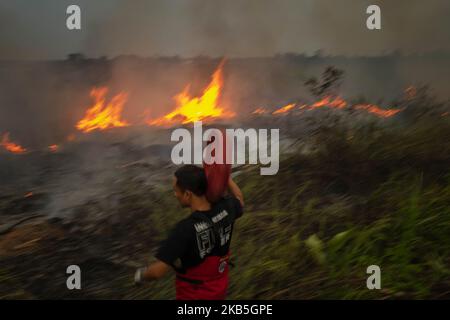 Un vigile del fuoco indonesiano cerca di estinguere un incendio da terra di contadini al villaggio di Tanah Merah, distretto di Kampar, provincia di Riau, Indonesia, settembre 8, 2019 un aumento degli incendi boschivi indonesiani – l’aumento più netto dal 2015 – ha infuriato la vicina Malesia, dove i residenti inalano fumo dalla torba e alberi bruciati a centinaia di chilometri di distanza. La stazione di meteorologia Pekanbaru ha riferito che 559 focolai sono stati osservati in tutta l’isola di Sumatra, di cui 125 focolai negli otto distretti della provincia di Riau la domenica mattina, deplorando la qualità dell’aria in alcune parti della provincia (Foto di Afrianto Silalahi/ Foto Stock