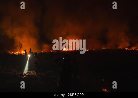 Un vigile del fuoco indonesiano cerca di estinguere un incendio da terra di contadini al villaggio di Tanah Merah, distretto di Kampar, provincia di Riau, Indonesia, settembre 8, 2019 un aumento degli incendi boschivi indonesiani – l’aumento più netto dal 2015 – ha infuriato la vicina Malesia, dove i residenti inalano fumo dalla torba e alberi bruciati a centinaia di chilometri di distanza. La stazione di meteorologia Pekanbaru ha riferito che 559 focolai sono stati osservati in tutta l’isola di Sumatra, di cui 125 focolai negli otto distretti della provincia di Riau la domenica mattina, deplorando la qualità dell’aria in alcune parti della provincia (Foto di Afrianto Silalahi/ Foto Stock