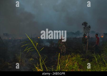 Un vigile del fuoco indonesiano cerca di estinguere un incendio da terra di contadini al villaggio di Tanah Merah, distretto di Kampar, provincia di Riau, Indonesia, settembre 8, 2019 un aumento degli incendi boschivi indonesiani – l’aumento più netto dal 2015 – ha infuriato la vicina Malesia, dove i residenti inalano fumo dalla torba e alberi bruciati a centinaia di chilometri di distanza. La stazione di meteorologia Pekanbaru ha riferito che 559 focolai sono stati osservati in tutta l’isola di Sumatra, di cui 125 focolai negli otto distretti della provincia di Riau la domenica mattina, deplorando la qualità dell’aria in alcune parti della provincia (Foto di Afrianto Silalahi/ Foto Stock