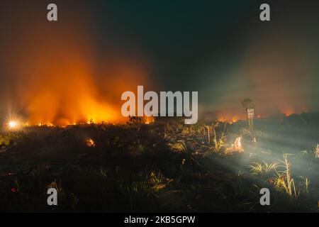 Un vigile del fuoco indonesiano cerca di estinguere un incendio da terra di contadini al villaggio di Tanah Merah, distretto di Kampar, provincia di Riau, Indonesia, settembre 8, 2019 un aumento degli incendi boschivi indonesiani – l’aumento più netto dal 2015 – ha infuriato la vicina Malesia, dove i residenti inalano fumo dalla torba e alberi bruciati a centinaia di chilometri di distanza. La stazione di meteorologia Pekanbaru ha riferito che 559 focolai sono stati osservati in tutta l’isola di Sumatra, di cui 125 focolai negli otto distretti della provincia di Riau la domenica mattina, deplorando la qualità dell’aria in alcune parti della provincia (Foto di Afrianto Silalahi/ Foto Stock