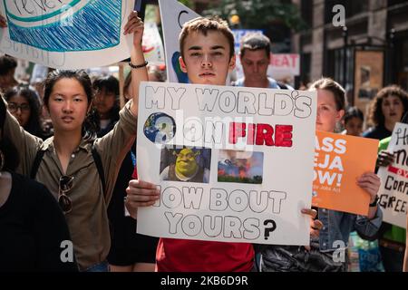 Gli attivisti giovanili si sono radunati al Federal Plaza nel centro di Chicago come parte dello Sciopero sul clima il 20 settembre 2019. Questo marzo è stato parte del movimento Global Climate Strike guidato dagli studenti per sensibilizzare i cittadini sui cambiamenti climatici e su altre questioni ambientali. (Foto di Max Herman/NurPhoto) Foto Stock