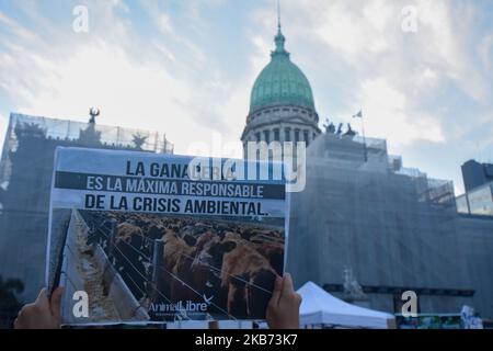 La gente partecipa a una manifestazione per la protesta sul cambiamento climatico "Venerdì per il futuro" a Buenos Aires, Argentina, il 27 settembre 2019. (Foto di Gisela Romio/NurPhoto) Foto Stock