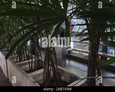 Bangkok, Thailand, 08 October 2019 : Smoking area at Bangkok Airport. Daily Life view at Bangkok City in Thailand. Although one of the most polluted city in the world, Bangkok is one of the most vistied city in the world. (Photo by Donal Husni/NurPhoto) Foto Stock