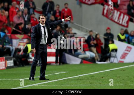 L'allenatore di testa di Olympique Lyonnais, Rudi Garcia, si attiva durante la partita di calcio della UEFA Champions League Group G tra SL Benfica e Olympique Lyonnais, presso lo stadio Luz di Lisbona, Portogallo, il 23 ottobre 2019. (Foto di Pedro FiÃºza/NurPhoto) Foto Stock