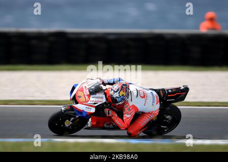 Jack Miller d'Australia guida la moto Pramac Racing durante le prove in vista della MotoGP australiana al circuito del Gran Premio di Phillip Island il 26 ottobre 2019 a Phillip Island, Australia (Foto di Morgan Hancock/NurPhoto) Foto Stock